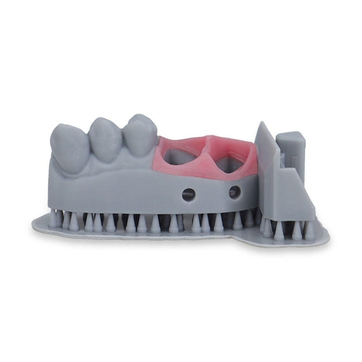 Liqcreate Dental Model Pro Grey