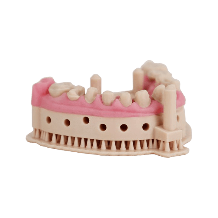 Liqcreate Dental Model Pro Beige